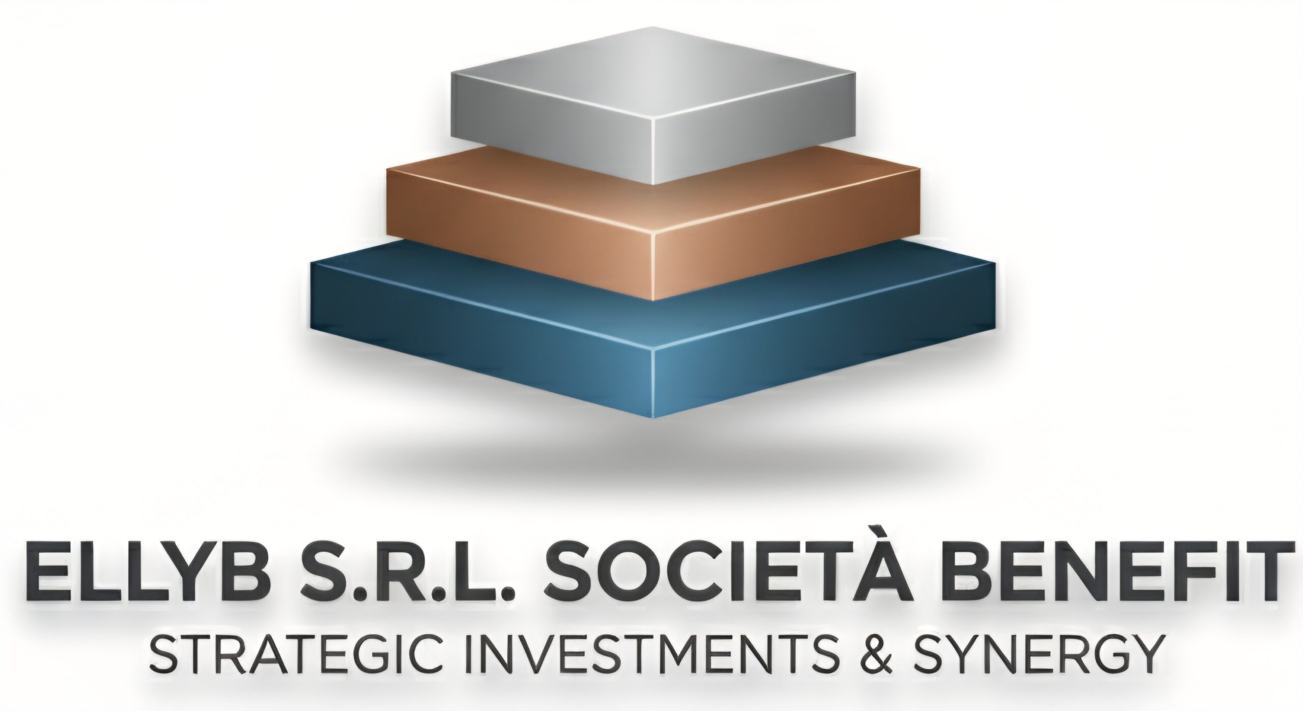Ellyb srl